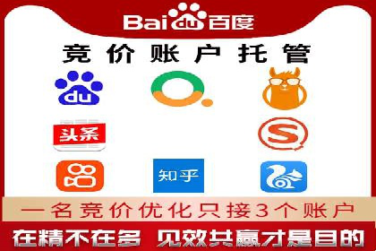 百度竞价排名之成功案例：看广告如何转化为销量